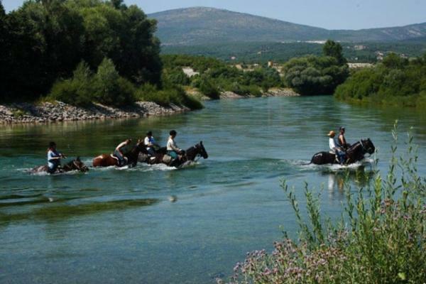 Apartment Ines Sinj Εξωτερικό φωτογραφία